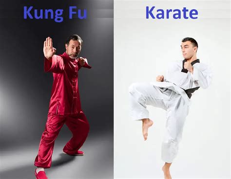 Key Differences Between Kung Fu and Karate – Difference Camp