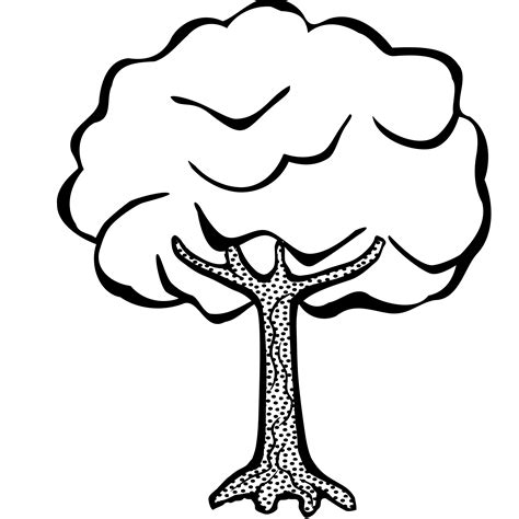 Tall Tree Clipart Black And White