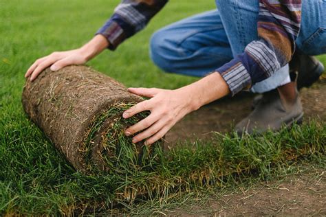 Why Sod is the Best Option for a Quick, Lush Lawn? :: YardYum - Garden Plot Rentals