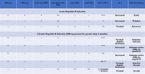 Hepatitis B Serology Chart