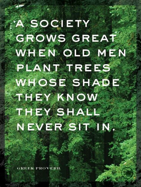 plant trees | Inspiring Words | Pinterest