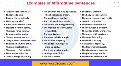 100+ Examples of Affirmative Sentences - Word Coach