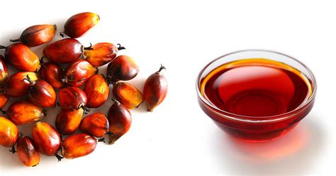 Red Palm Oil: Nutrition Facts, Benefits, and Concerns - Nutrition Advance