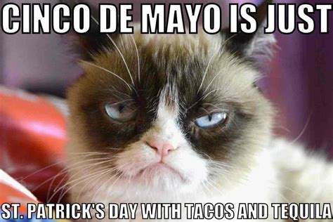 Cinco De Mayo Memes And Funny GIFs To Celebrate May 5 | Cinco de mayo ...