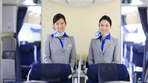 All Nippon Airways Stewardess