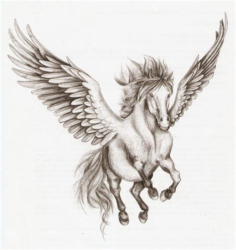 pegasus drawing - Yahoo Search Results Yahoo Image Search Results ...