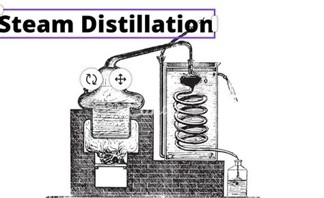 Steam Distillation Process and Mass Relationship