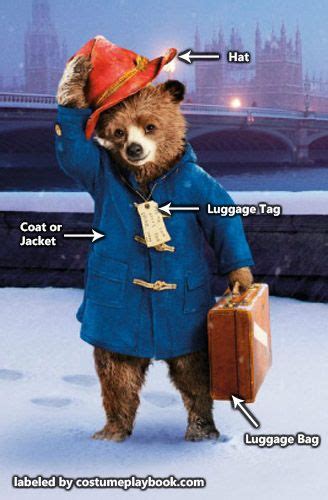 Paddington Bear Costume | Costume Playbook - Cosplay & Halloween ideas | Bear costume, Storybook ...