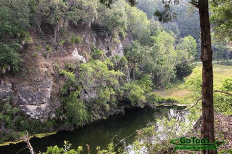 Zipline The Canyons in Ocala Florida