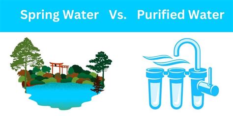 Spring Water vs Purified Water - Should You Be Drinking Spring Over Bottled Water?