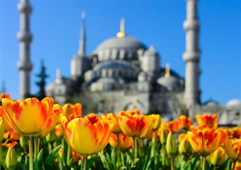 BEST OF TURKEY TULIPS 11D8N TOUR | Tour Destination Turkey | Jupiterdex.com