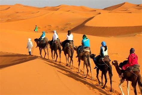 Camel ride in Morocco from Tangier 2024