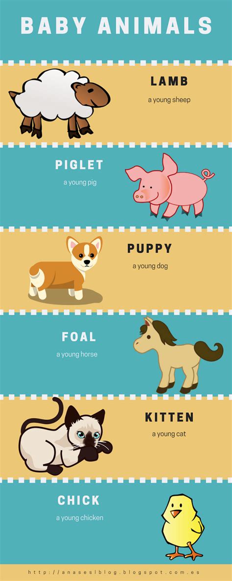CPI Tino Grandío Bilingual Sections: Baby animals