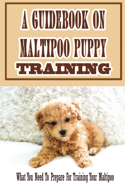 A Guidebook On Maltipoo Puppy Training: What You Need To Prepare For ...