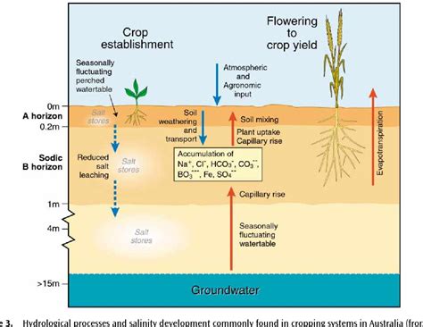 Figure 1 from Soil – environment impacts Land Degradation Processes ...