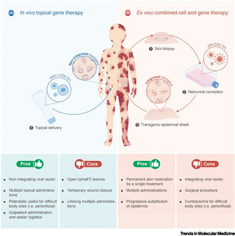 The joint battle to tackle epidermolysis bullosa through gene therapy ...