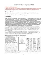 Gel Filtration Chromatography Protocol-1.docx - Gel Filtration ...