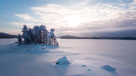 Download wallpaper 2560x1440 trees, landscape, snow, winter, glade ...