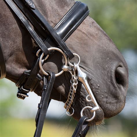 Double Bridles > Double Bridle Comfort Lyon - Kieffer | EN