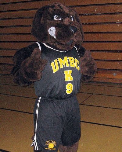 UMBC Retrievers mascot, True Grit | Mascot, Fursuit, Chesapeake bay retriever