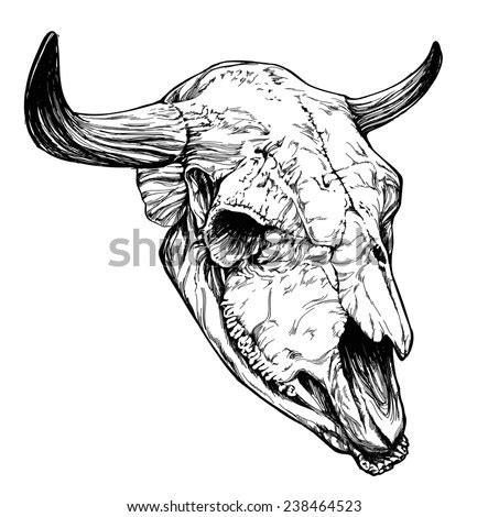 Bull Aurochs Skull Horns On White Stock Vector 238464523 - Shutterstock