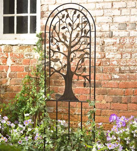 22 Tall Metal Garden Trellis Ideas You Cannot Miss | SharonSable