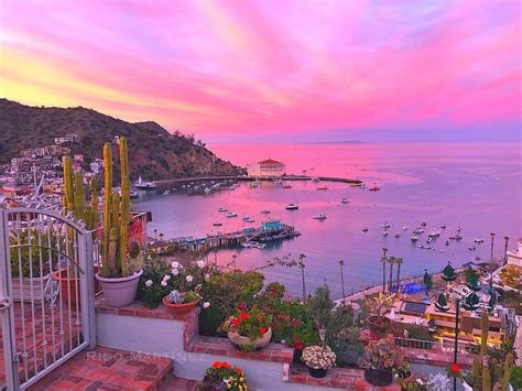 Top Events and Festivals on Catalina Island Fall 2019 | Hotel Metropole