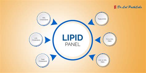 Lipid Profile Test: Purpose, Procedure and Results - Dr Lal PathLabs Blog