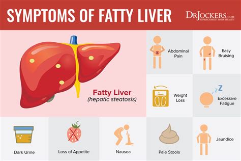 Fatty Liver: Symptoms, Causes and Natural Support Strategies | Fatty liver disease symptoms ...