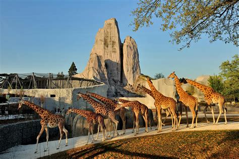 Zoo de Vincennes | Expérience Unique d'Observation d'Animaux | Réservez ...