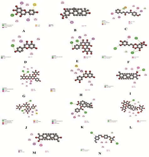 Graphical representation of the molecular interactions of the most ...