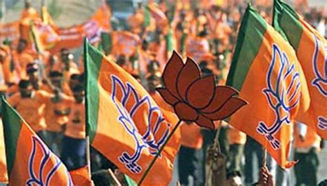 Delhi polls: BJP leaders to hold rallies in all 70 seats as campaigning ...