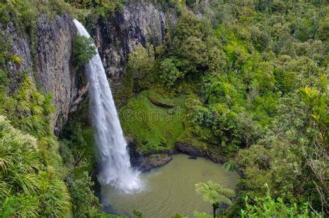 107 Zealand Bridal Veil Falls Stock Photos - Free & Royalty-Free Stock Photos from Dreamstime