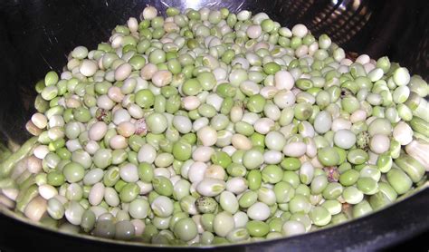 Pigeon Peas - Nutrition Facts, Uses, Benefits, Substitute, Recipes