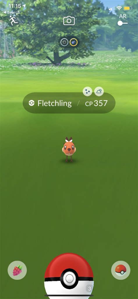 Shiny Fletchling Live! : r/TheSilphRoad