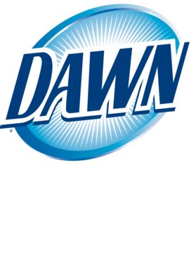 Dawn Dish Soap Logo Cleaning T Shirt