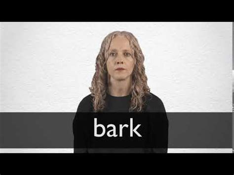 BARK definition and meaning | Collins English Dictionary