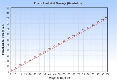 Phenobarbital For Dogs | Veterinary Place