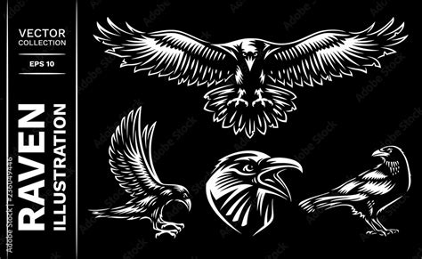 Raven bird collection - vector illustration, logo, emblem black and ...