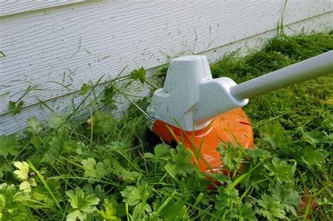 Best Grass Trimmer 2024: Tidy your garden this summer