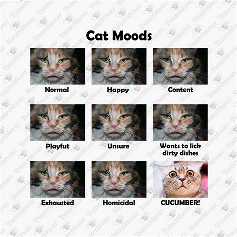 Cat Moods Print File | Mood, Cats, Print