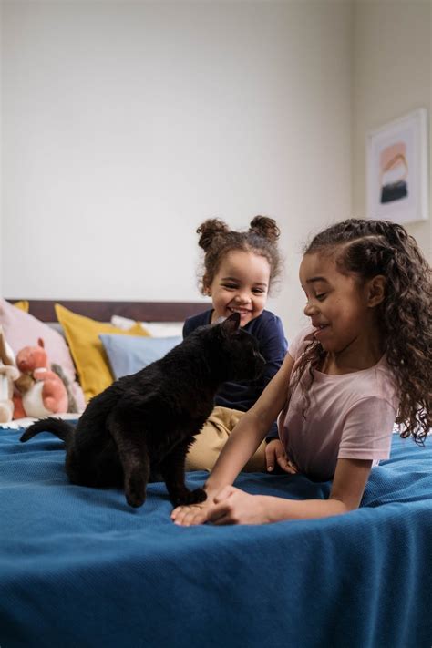 Kids Playing with Black Cat · Free Stock Photo