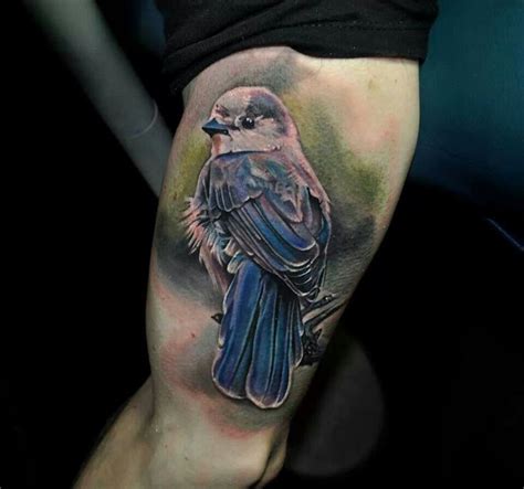 Pin by sonia ryan on Animal tattoos | Realistic bird tattoo, Birds tattoo, Bird tattoo sleeves