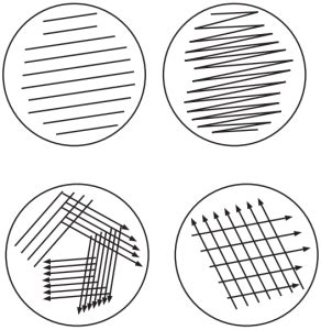 Isolation of Pure Culture by Streak Plate Method and Other Techniques