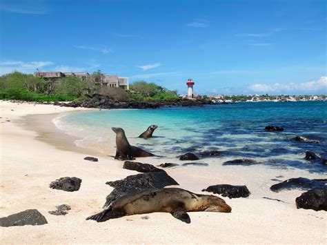 Top San Cristobal beaches 2020 @Galapagos Islands | Galápagos Low Cost