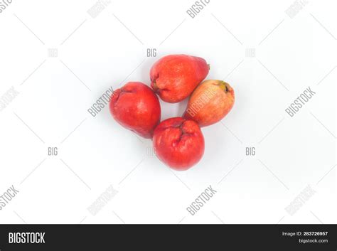 Jambo. Exotic Fruit Image & Photo (Free Trial) | Bigstock