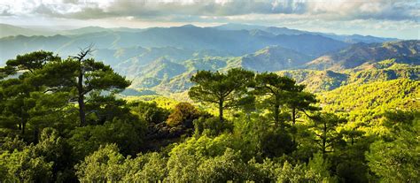 Troodos Mountains - Visit Cyprus - Explore Mountains Forest