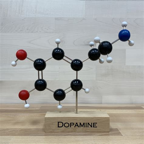 Wooden Dopamine Ball-Stick Molecule Model - Molecule Models