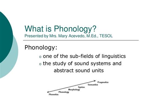 What is Phonology?