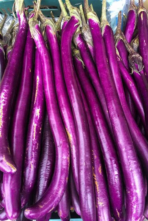 21 of the Best Japanese Eggplant Varieties | Gardener’s Path